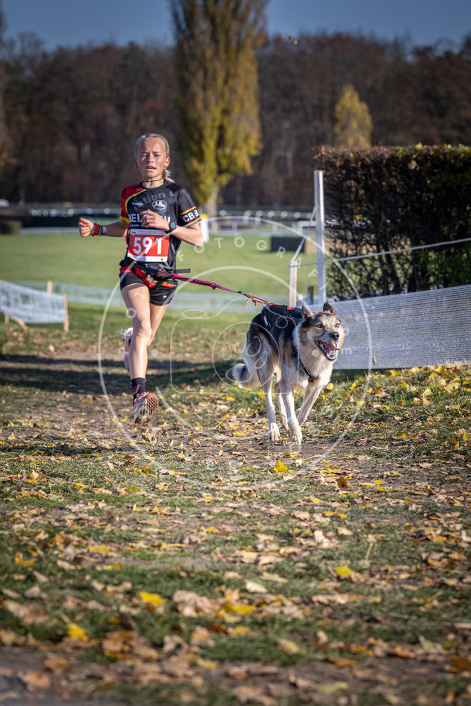 CaniXpix_DV3A9270 | Hundefotografie, Tierfotograf, Pfotenfotografie, Fotoshooting Hund, Hunde Portrait, Hundesport, Hundeportraits, Heideshooting, Hunde, Sportfotograf, Hundefotograf, Turnierhundsport, THS,  - Realisiert mit Pictrs.com