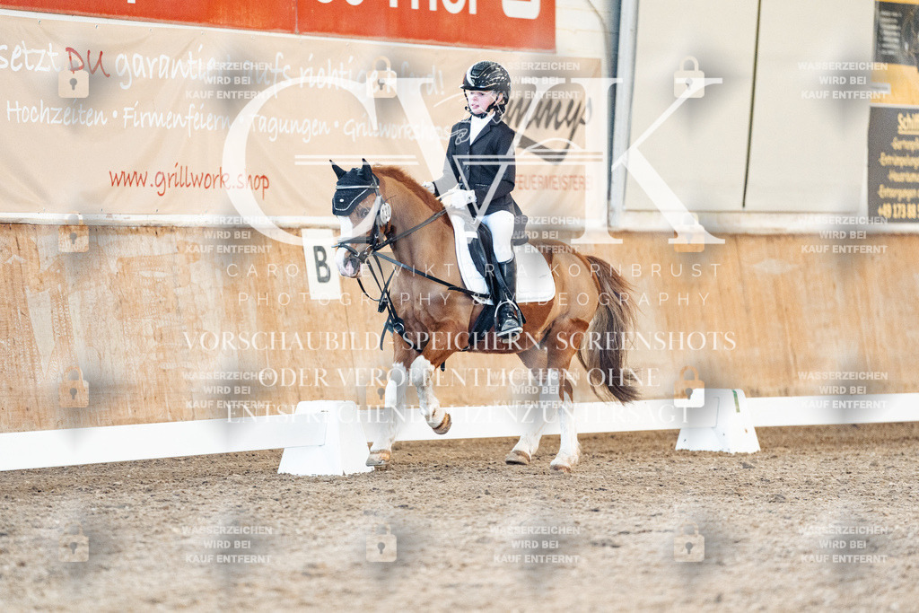 CK907318 | Turnierfotografie Pferdefotografie Trier Rheinland-Pfalz Pferdesport Reitsport Tierfotografie Sportfotografie Pferdevideo Pferdevideografie Equestrianvideography equestrianphotography  - Realisiert mit Pictrs.com