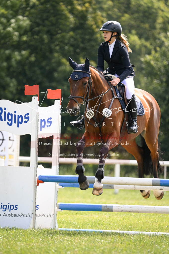 DSC_9026 | Pferde- und Turnierfotografie in Westsachsen. Pferdeportraits, Auftragszeichnungen und intuitive Kunst.