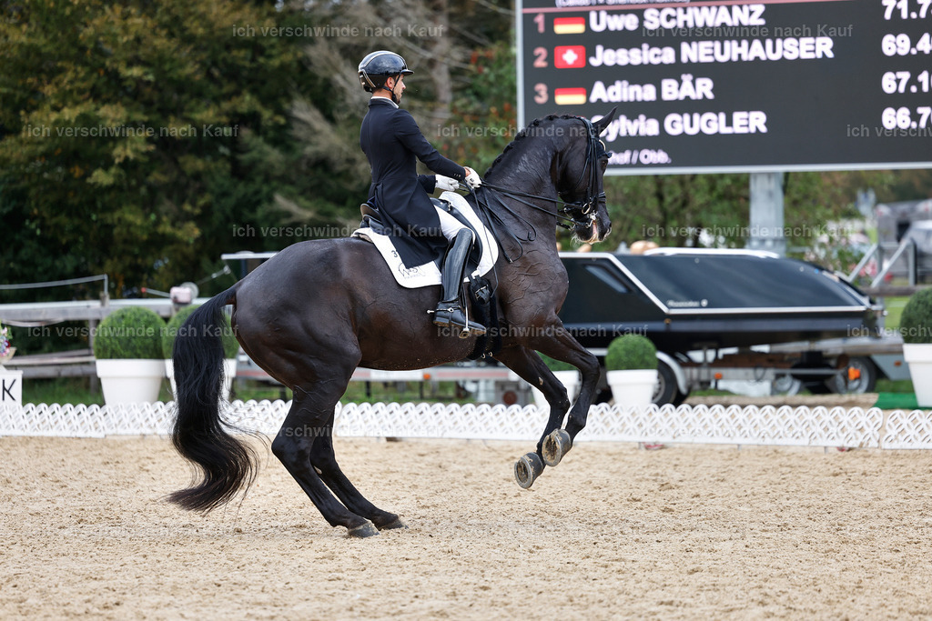12-031-DRESSUR  S___  -StoibPH-5321 | working equitationturnier fotograf videograf stoibphotography marixx film working equitation deutschland reitsport turnierfotografie eventfotografie equestrian events