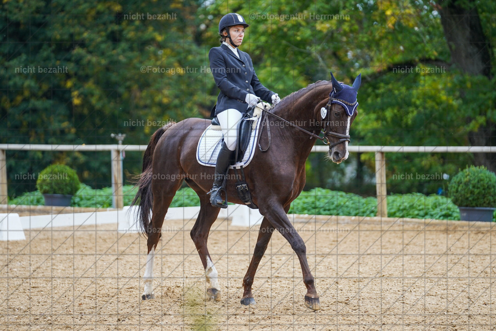 20221008-FAH01778 | Diessen am Ammersee, 2022, Dressur- und Springturnier, Reitsportbilder, Turnierfotografen Bayern, Pferdefotografen, Fotoagentur Herrmann, Turnierbilder