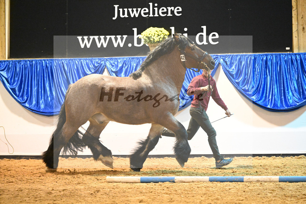 Kat-Nr. 42 Albrecht von Schernikau_Roemmer_53221255 | hf-fotografie - Realizzato con Pictrs.com
