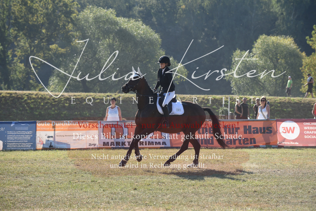 DSC_5635 | Pferde- und Turnierfotografie in Westsachsen. Pferdeportraits, Auftragszeichnungen und intuitive Kunst.