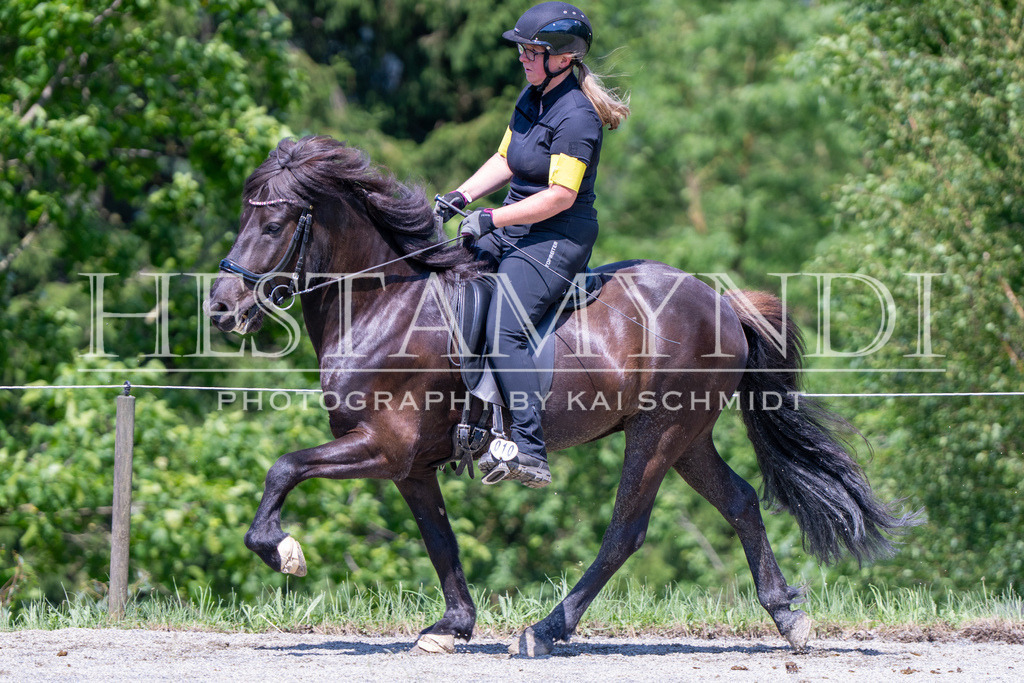 KAI04473 | Ihr sucht einen Fotografen für eure nächste OSI? Ich begleite auch euer Turnier für Islandpferde fotografisch.  - Realisiert mit Pictrs.com