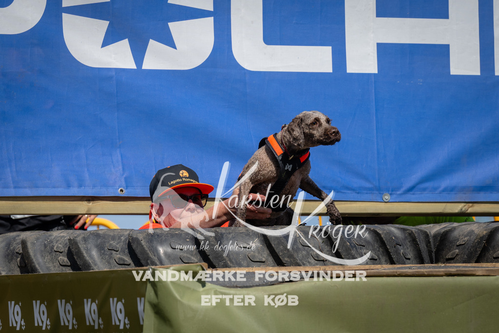 1356_ZZ99612 | kk-dogfotos