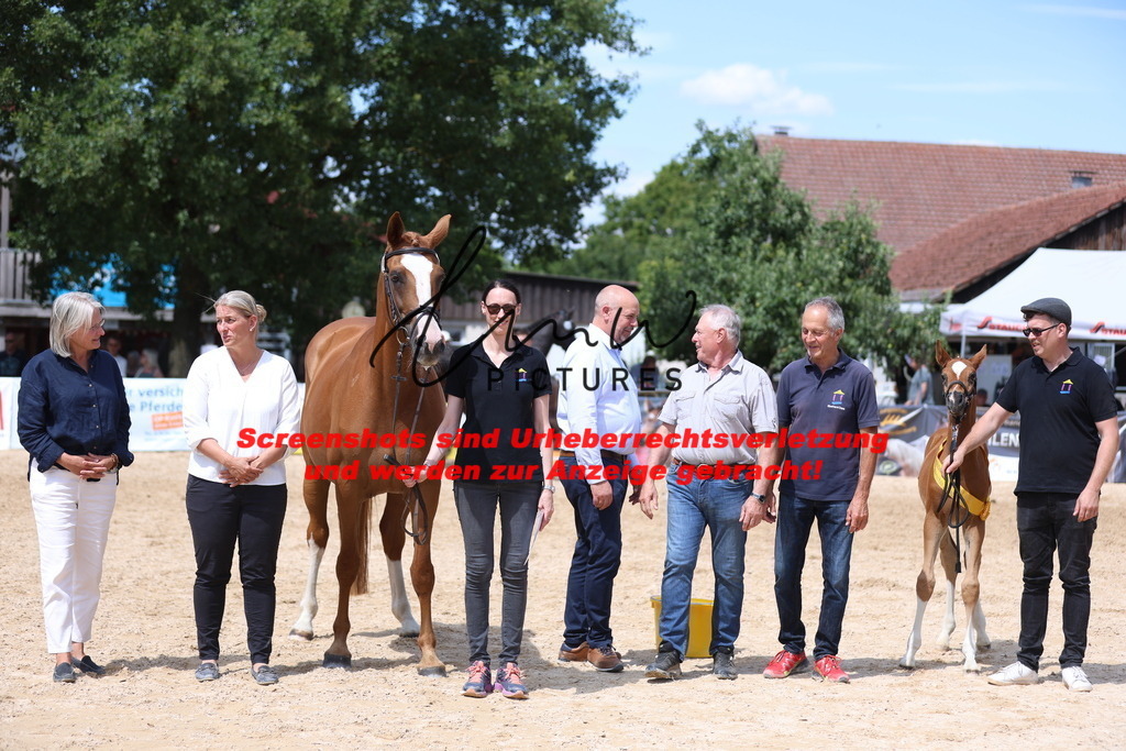 Fohlenschau_Schwäbisch_Hall_springbetonte_Fohlen_SIEGERFOHLEN_KN 22_5 | lmwpictures - Realisiert mit Pictrs.com