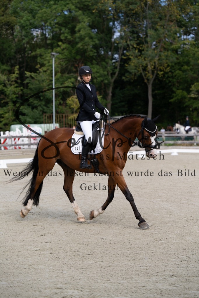 A7V06814 | Turnier/Reitfotograf