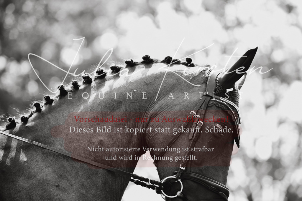 DSC_4099 | Pferde- und Turnierfotografie in Westsachsen. Pferdeportraits, Auftragszeichnungen und intuitive Kunst.