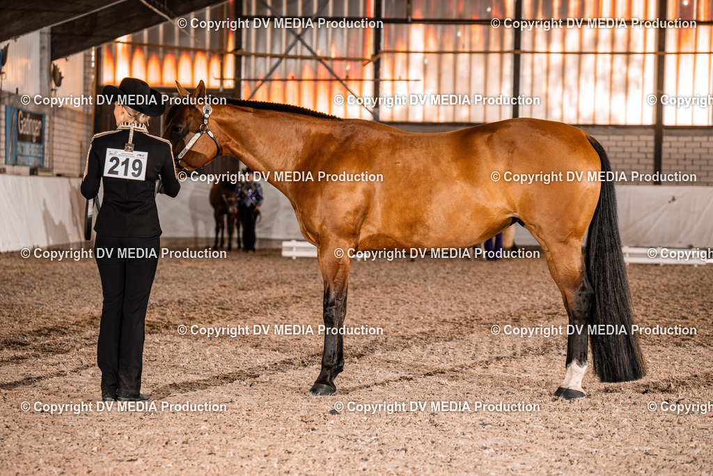 ZH100156 | dv-media-shop - Realisiert mit Pictrs.com