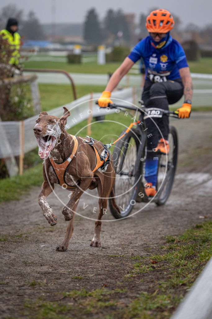 CaniXpix_0L8A0758 | Hundefotografie, Tierfotograf, Pfotenfotografie, Fotoshooting Hund, Hunde Portrait, Hundesport, Hundeportraits, Heideshooting, Hunde, Sportfotograf, Hundefotograf, Turnierhundsport, THS,  - Realisiert mit Pictrs.com