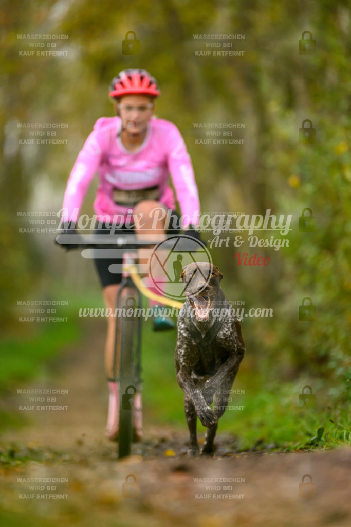 MompixPhotography_20TSB_E6_DS1-57 | PayLife