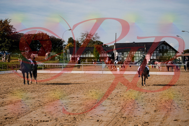 2026_10_03_Siefer-Hof_121050_Z63_38646120 | Professionelle Reitsport-, Turnier- und Eventfotografie von Robert Broda. Galerien mit ausgewählten und bearbeiteten Bildern direkt online ansehen und bestellen.