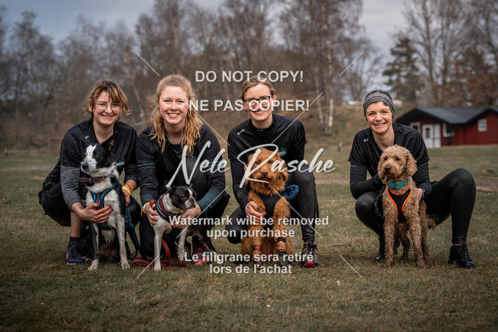 nelerasche_1330-1400_319 | nelerasche