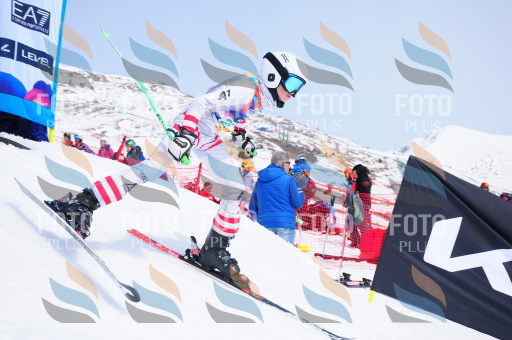 DSC_2417 | holidayphoto