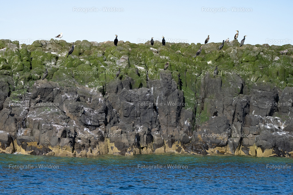 20230815 Isle of Sky - St.Andrews - Dundee-142 | Fotografie Woldron