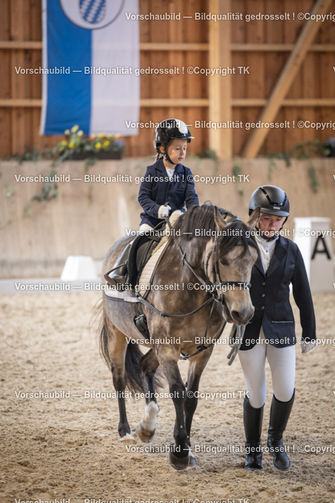 _D5A5336 | Emotionale Pferde- & People-Fotografie rund um Heidelberg, Leimen & Umgebung. Natürliche Fotos von Pferd, Mensch & Familie. Jetzt Termin sichern!