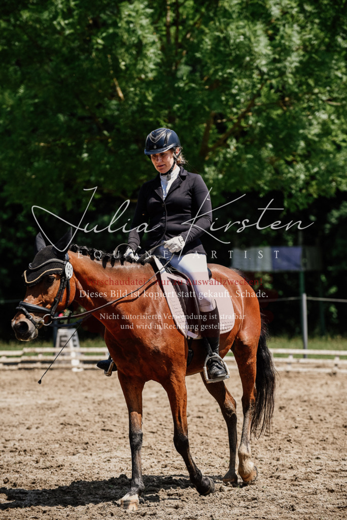 DSC_1911 | Pferde- und Turnierfotografie in Westsachsen. Pferdeportraits, Auftragszeichnungen und intuitive Kunst.