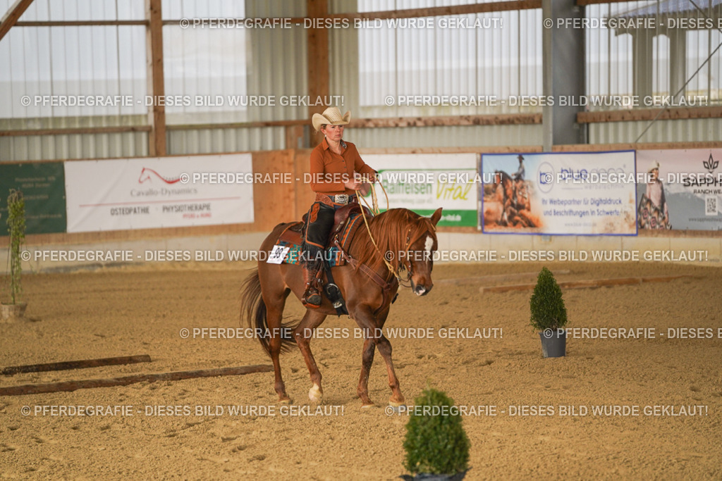 DSC01141 | Pferdegrafie