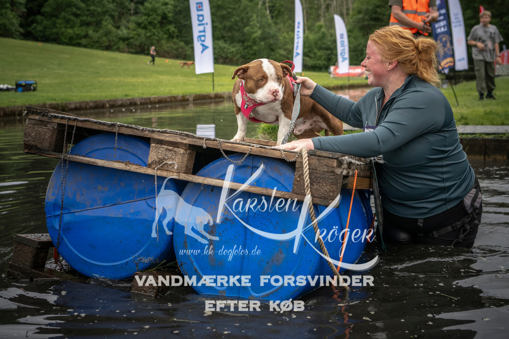 1005_ZZ94246 | kk-dogfotos