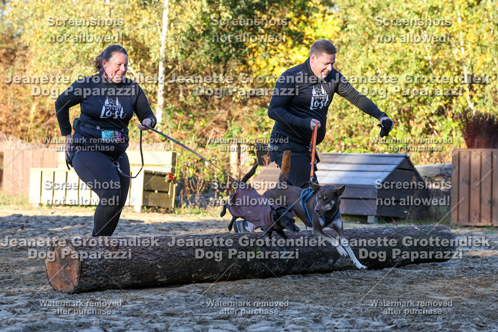 Dog Paparazzi - Strongdog 10-25-723 | Dog Paparazzi Jeanette Grottendiek Fotografie & Videografie - Realisiert mit Pictrs.com