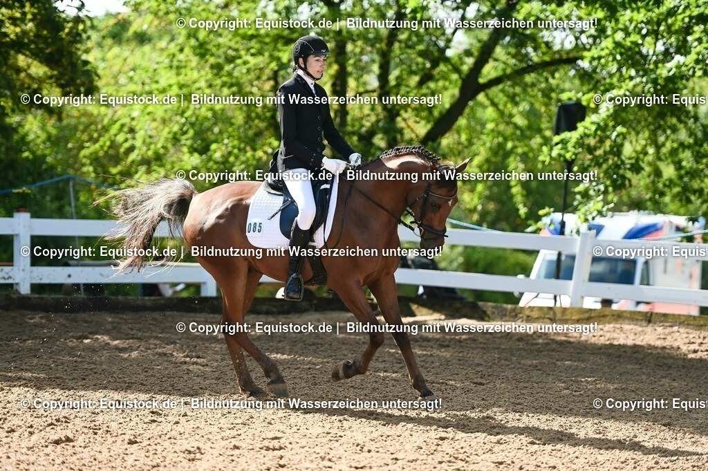 20230716_04_Dressurreiterprüfung Kl.A_0161 | equistock