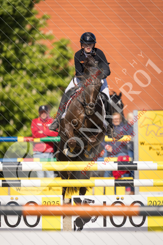 IMG_3549 | Sport-, Event- und Tierfotos in Profiqualität. Einfach auswählen, bestellen und herunterladen. Dein Moment – perfekt festgehalten.