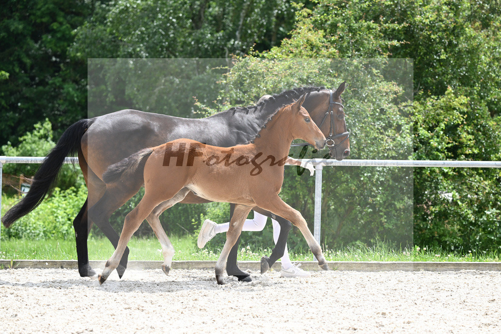 Viva Vitalis x Locksley III_SF_Ochs_20240478 | hf-fotografie - Realisiert mit Pictrs.com