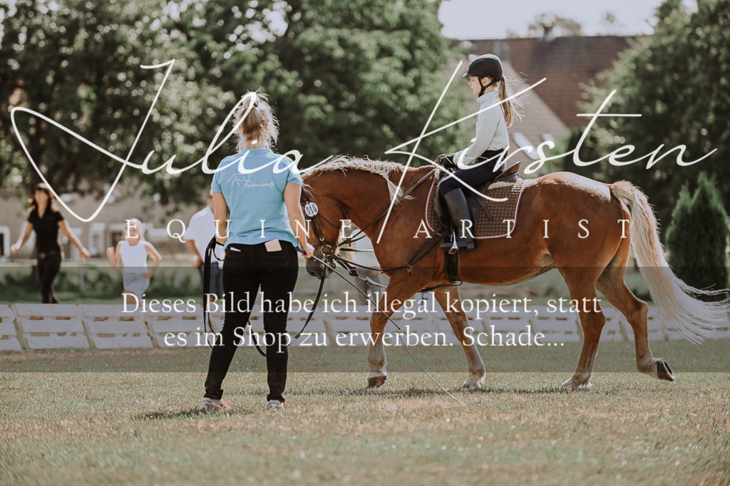 DSC_7553 | Pferde- und Turnierfotografie in Westsachsen. Pferdeportraits, Auftragszeichnungen und intuitive Kunst.