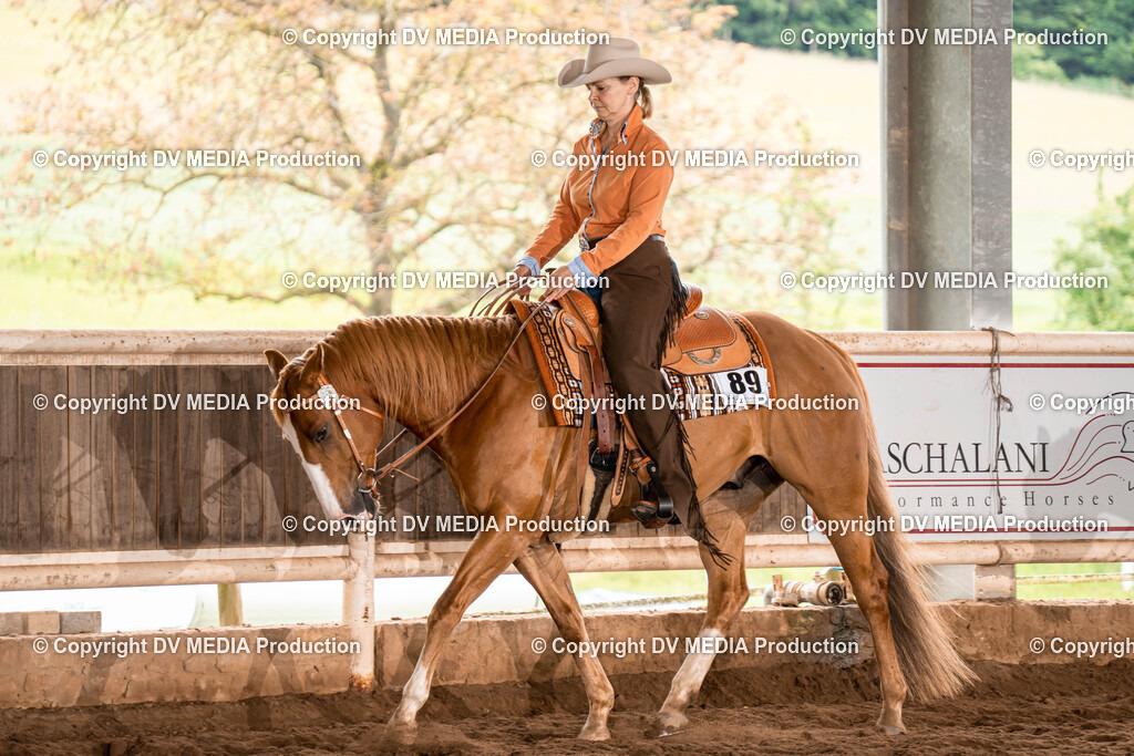 Erbach Tag 1-494 | dv-media-shop - Realisiert mit Pictrs.com