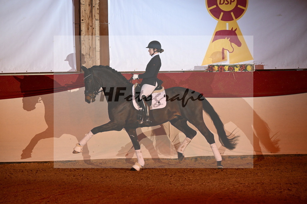 San__Haug_3262117 | hf-fotografie - Realisiert mit Pictrs.com