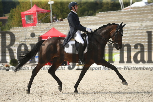 Marbach_2022_Prfg.Nr.10_Dressurprüfung_Kl.S_Prix St.Georges_Joachim Giersch_FBW Lady Darcy (3) | Alle Fotos der Reiterjournal Fotografin Doris Matthaes im Reiterjournal Online-Fotoshop. - Realisiert mit Pictrs.com