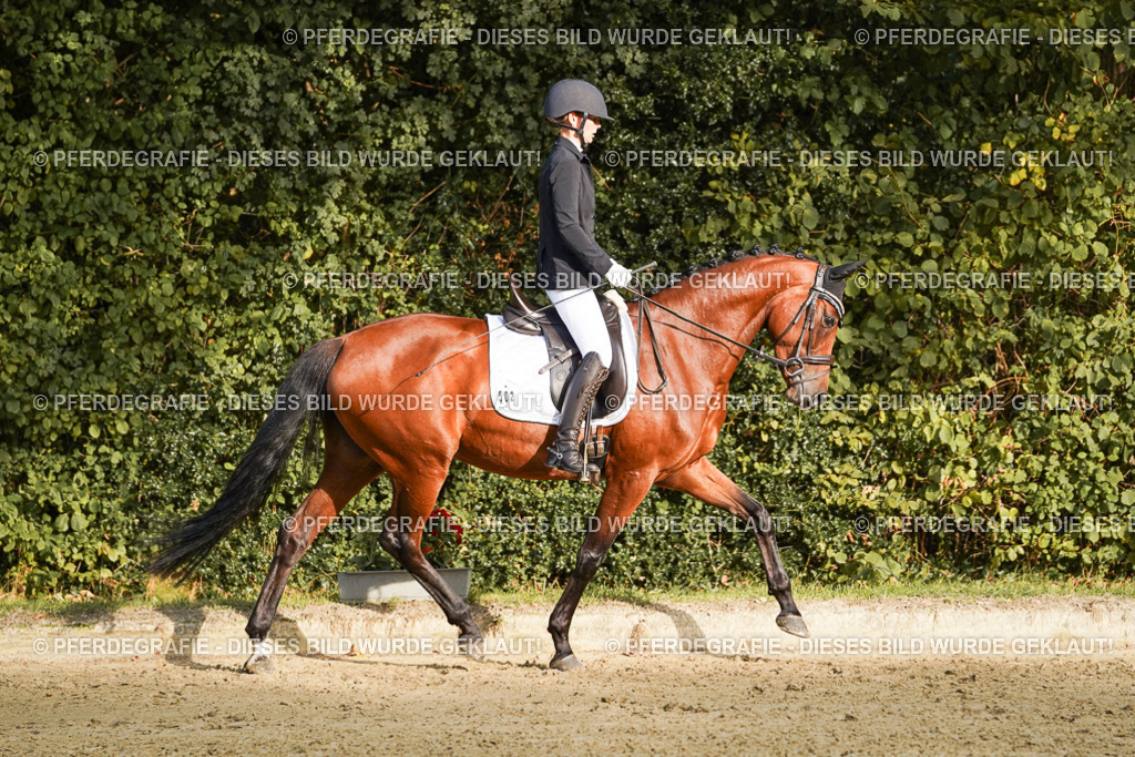 DSC04655 | Pferdegrafie