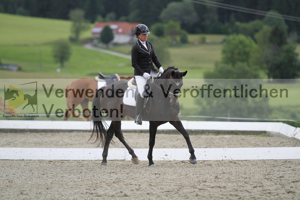 _MG_2892 | equestrian-live-com