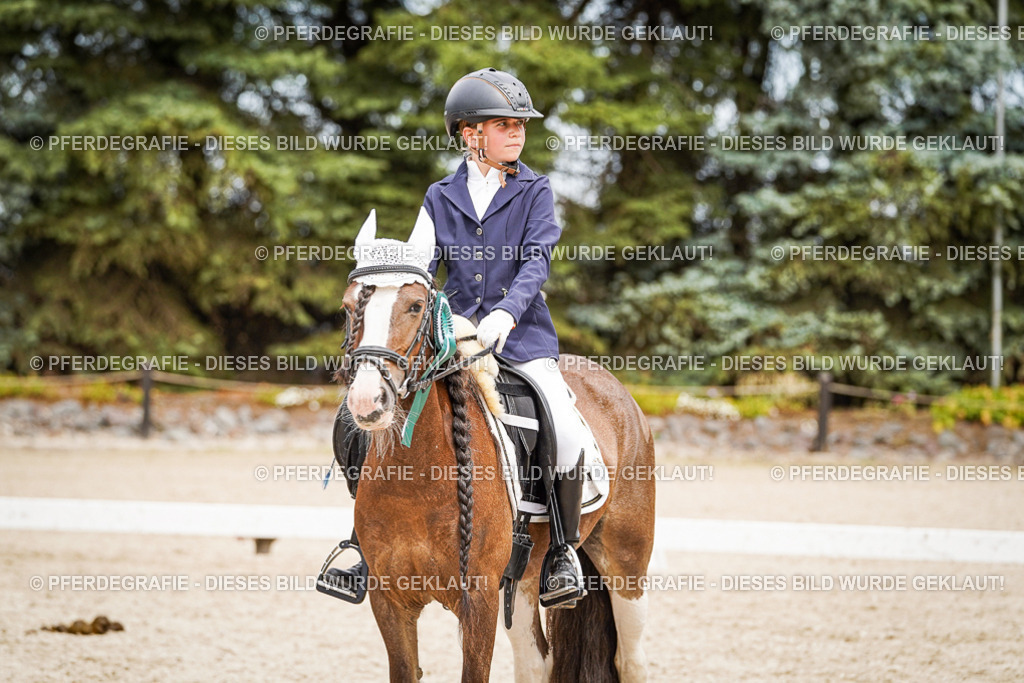 DSC04582 | Pferdegrafie