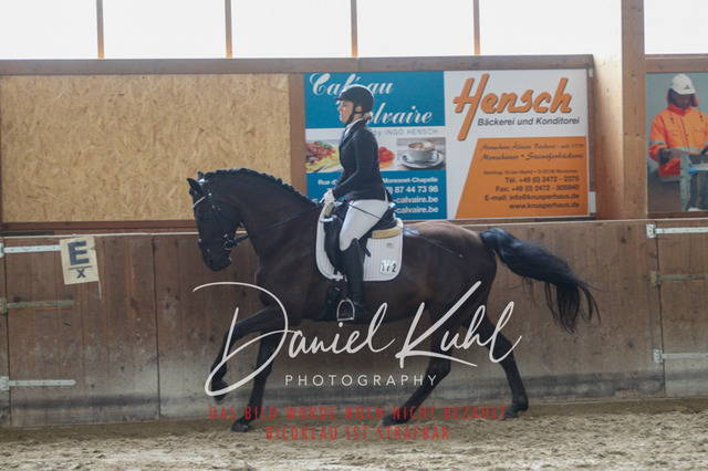 DKP44247 | Turniersportfotografie; Pferdefotografie; Dressurfotografie