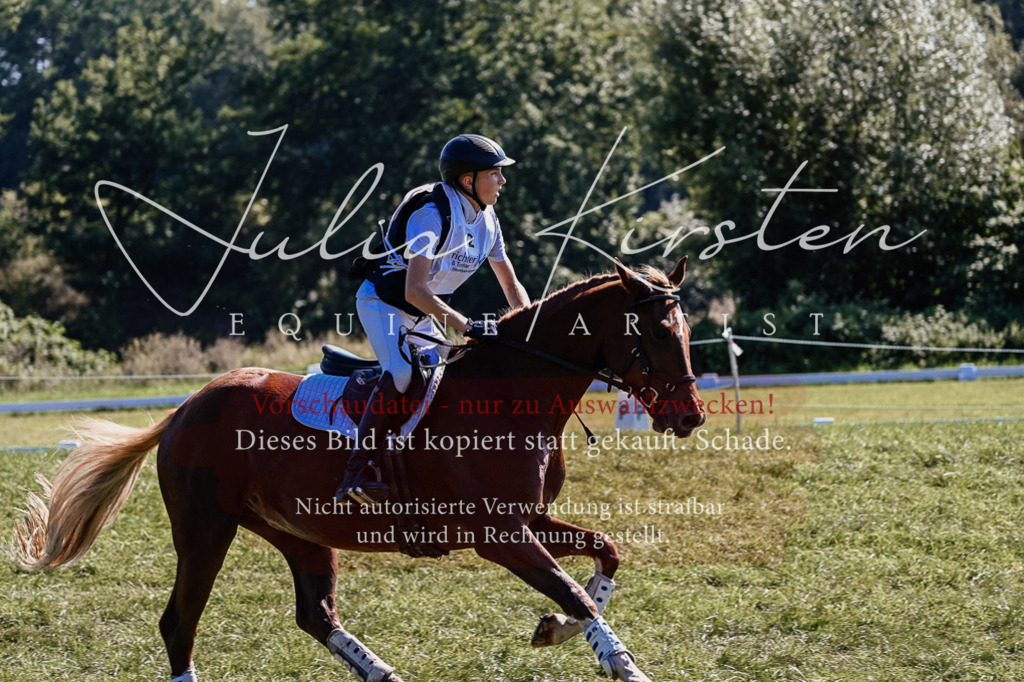 DSC_1369 | Pferde- und Turnierfotografie in Westsachsen. Pferdeportraits, Auftragszeichnungen und intuitive Kunst.