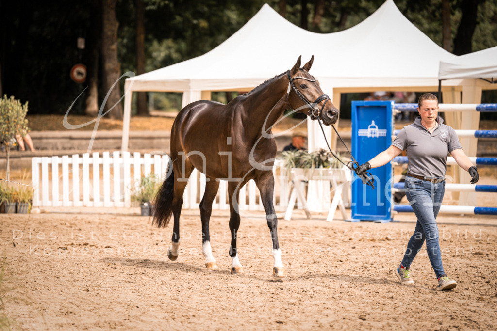 6.Fr00142 | Leoni Ertmer Photography - Realisiert mit Pictrs.com