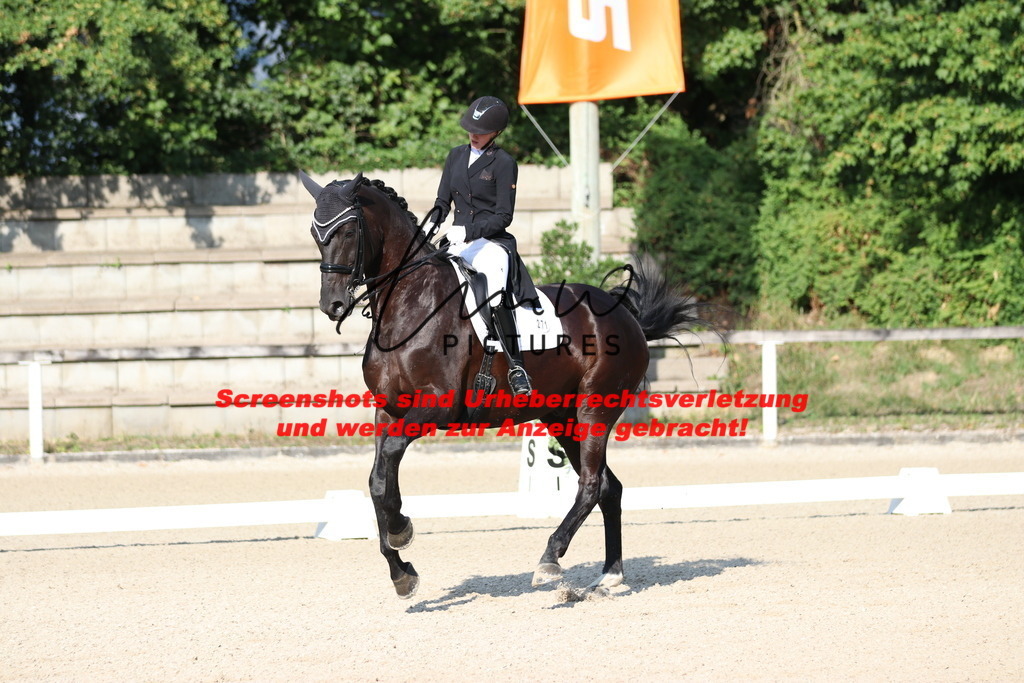 IMG_8824 | lmwpictures - Realisiert mit Pictrs.com