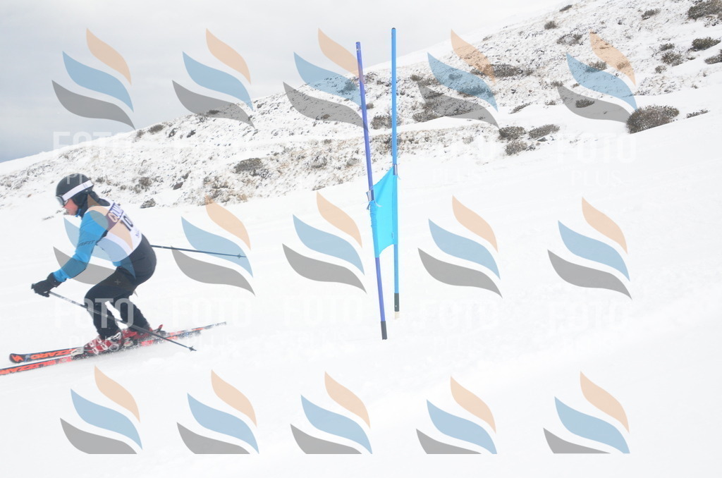 A5905 | holidayphoto