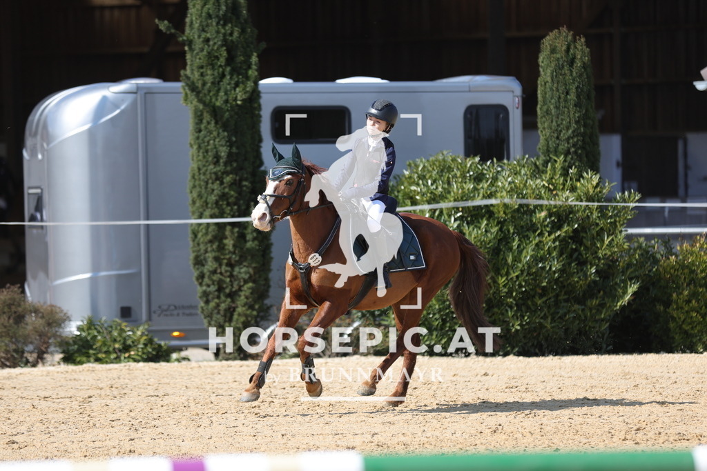 0P6A6963 | Willkommen bei Brunnmayr - Design & Fotografie – Ihrem Spezialisten für Reitturniere und Pferdeveranstaltungen in Oberösterreich, Salzburg und Bayern! Seit über 17 Jahren sind wir leidenschaftlich dabei.