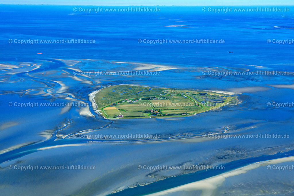 Neuwerk_ELS_1458300423 | INSEL NEUWERK 30.04.2023 Küstenbereich der Nordsee - Insel Neuwerk im Wattenmeer im Bundesland Niedersachsen, Deutschland. // Coastal area of the North Sea - Insel Neuwerk in the Wadden Sea in the state Lower Saxony, Germany. Foto: Martin Elsen
