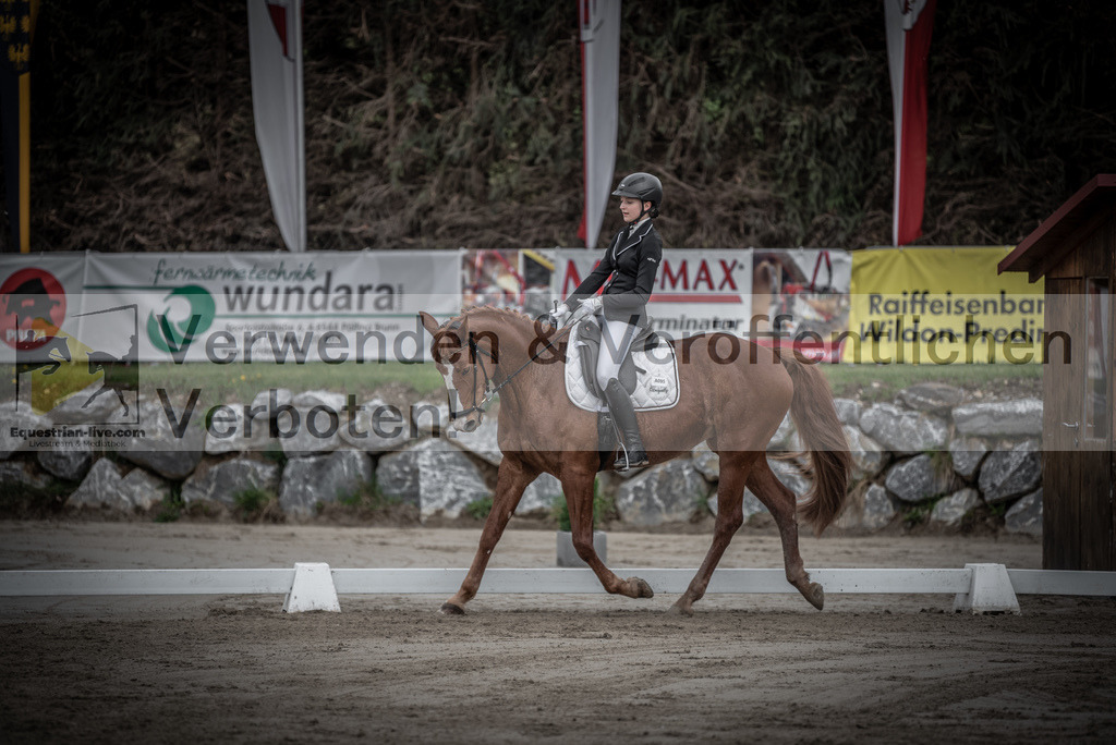 DSC_9014 | equestrian-live-com