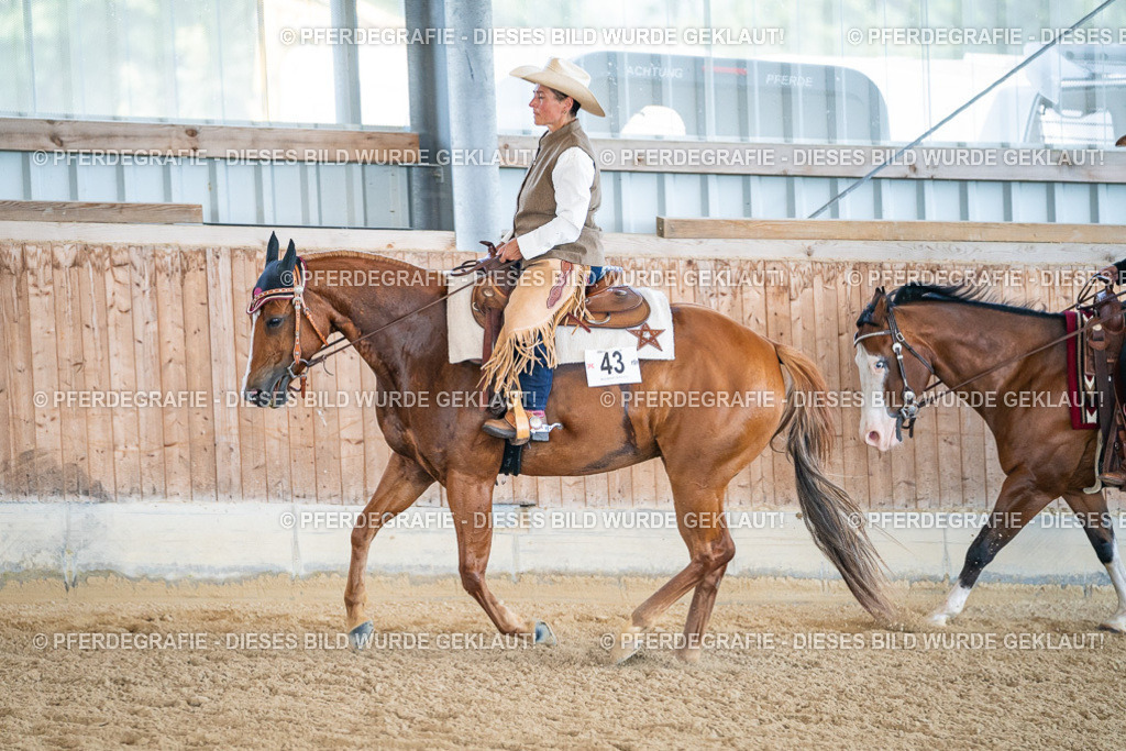 DSC03630 | Pferdegrafie