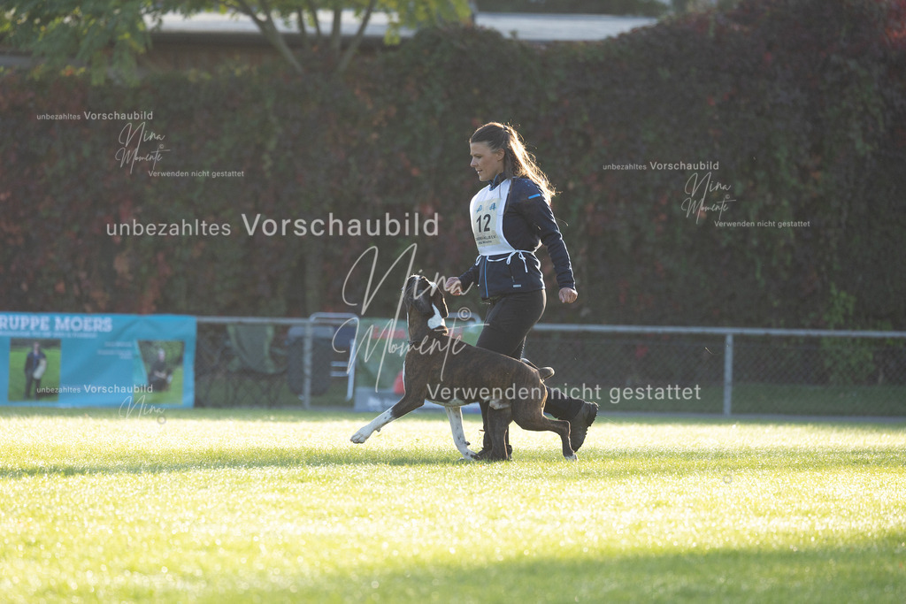 _16A6063 | Einzigartige Fotos von Hunden & Menschen –Actionfotos, Portraits, Vereinsaufnahmen & Paarshootings – authentisch, lebendig & mit Herz.