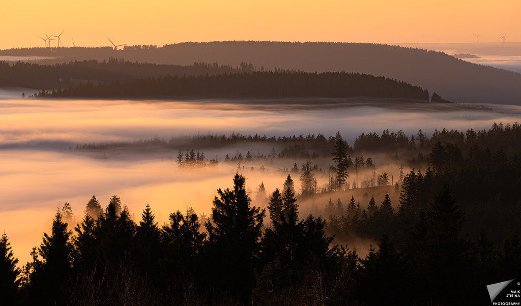Serene Misty Forest Sunrise | A breathtaking view of a mist-covered forest at sunrise, showcasing layers of trees emerging from a blanket of fog under a golden sky. The tranquil scene evokes a sense of peace and harmony with nature. - Realisiert mit Pictrs.com