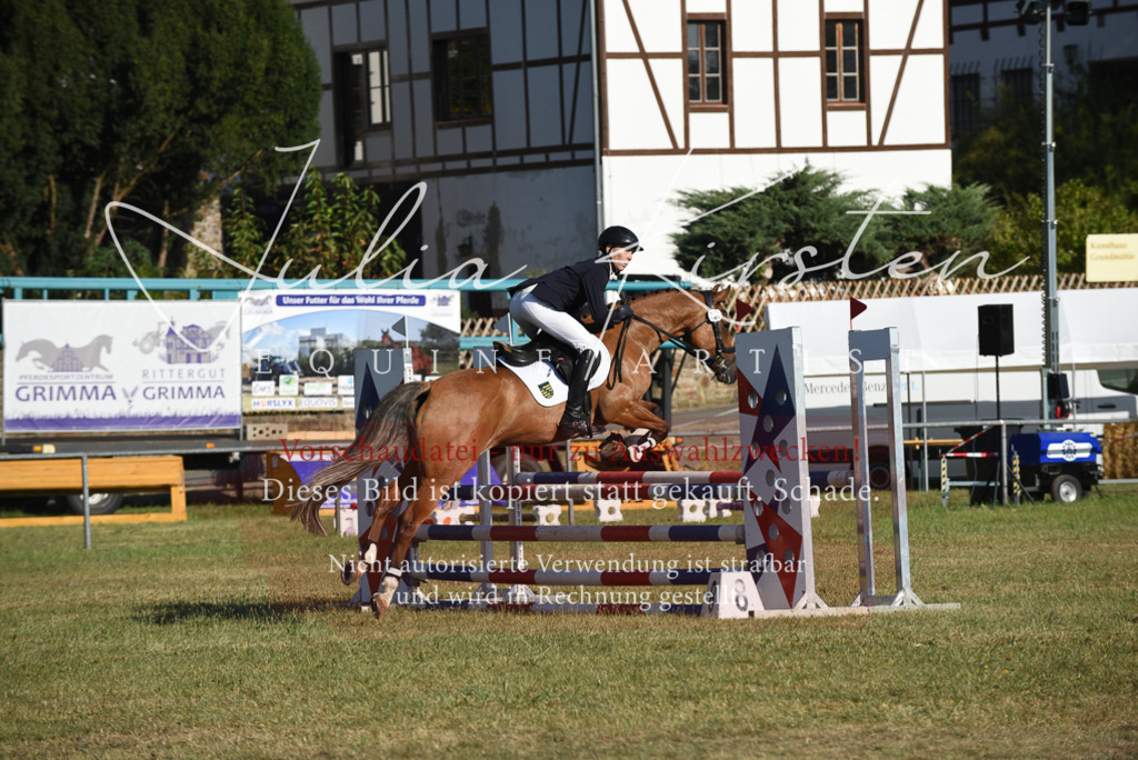 DSC_5242 | Pferde- und Turnierfotografie in Westsachsen. Pferdeportraits, Auftragszeichnungen und intuitive Kunst.