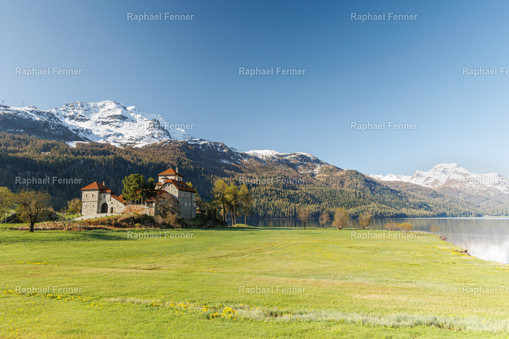 Silvaplana-Surlej | Erlebe eindrucksvolle Landschaftsfotografie aus dem Engadin und darüber hinaus. Raphael Fenner bietet zudem professionelle Fotoaufträge für Hochzeiten, Porträts und Unternehmen. Jetzt entdecken und inspirieren lassen!
