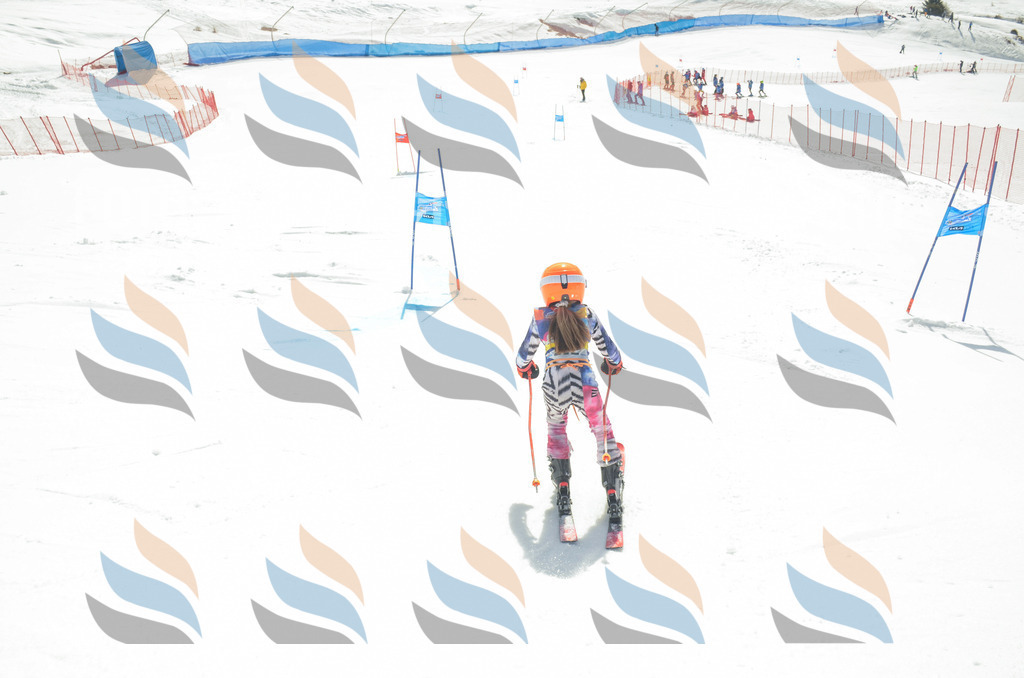 _ELE5317 | holidayphoto