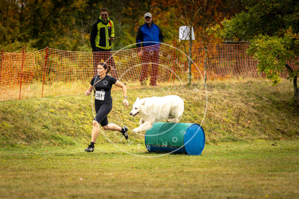 Pfotenfotografie_DV3A2449 | Hundefotografie, Tierfotograf, Pfotenfotografie, Fotoshooting Hund, Hunde Portrait, Hundesport, Hundeportraits, Heideshooting, Hunde, Sportfotograf, Hundefotograf, Turnierhundsport, THS,  - Realisiert mit Pictrs.com