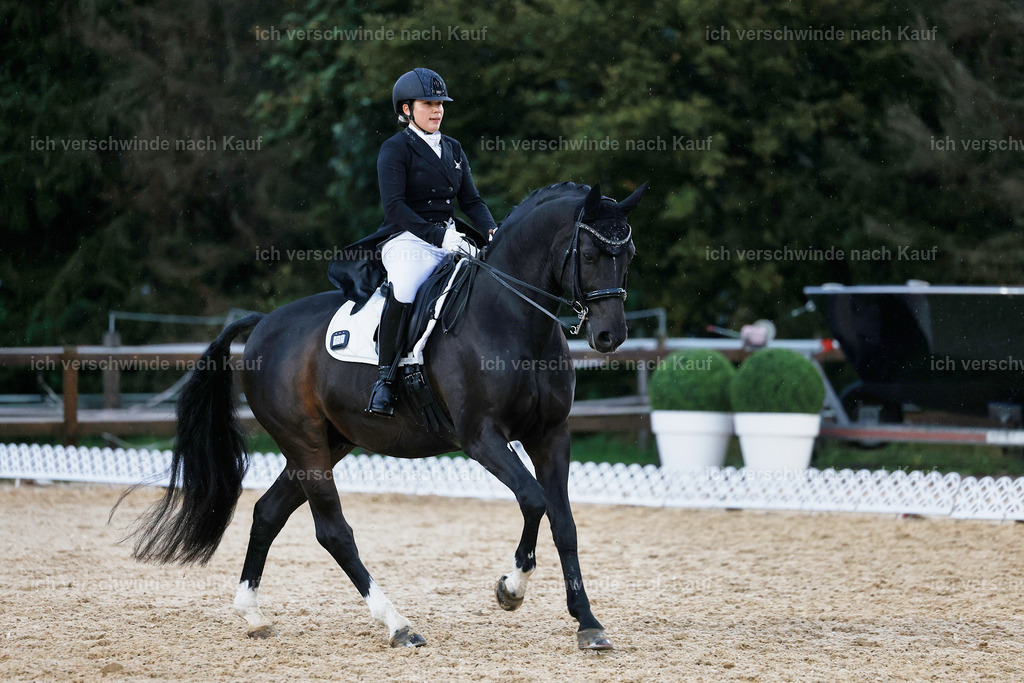 8_2-183-DRESSUR S_  -StoibPH-4551 | working equitationturnier fotograf videograf stoibphotography marixx film working equitation deutschland reitsport turnierfotografie eventfotografie equestrian events
